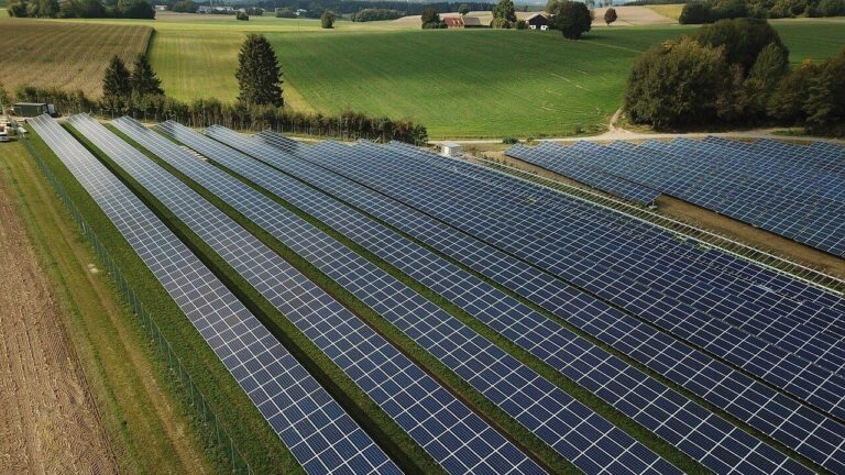 Agronegócio aposta na energia solar para assegurar produtividade e eficiência econômica